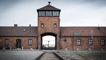 Full-Day Auschwitz and Birkenau Tour from Krakow with Private Transfer
