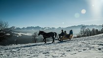Zakopane and Horse Sleigh Ride in the countryside, private tour from Krakow
