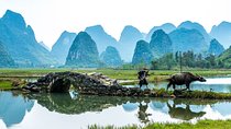 Virtual Guided Tour: Visit China's Landscapes with Hollywood Movies