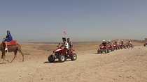 Agafay Desert: Quad Bike & Camel Ride