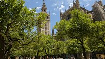 Seville, walk through the heart of the city