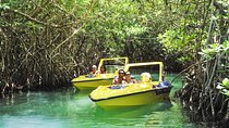 Speedboat and snorkel adventure 