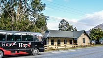 Queenstown Hop-on Hop-off Evening Beer Tour