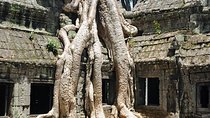  Private Tuk Tuk Tour to Angkor Wat and Small Circle with Two Extras