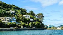 Captivating Side of Dunedin Private Walking Tour for Couples
