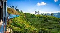 Nuwara Eliya from Kandy by Train
