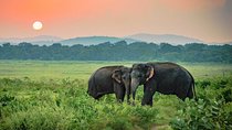 Udawalawe National Park Safari from Mount Lavinia