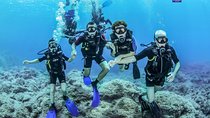 Try Scuba in Crete – Free Certification & Photos (Beginners)