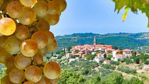 Slovenian Istria | Private off cruise excursion from Koper