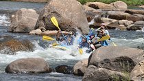 Durango Rafting - Animas River Adventure Day