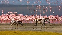 Lake Manyara National Park – Full Day Safari Adventure