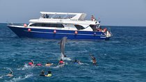 Dolphin House and Banana Boat Fun from Hurghada