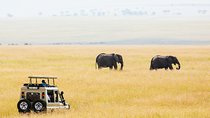11-Day Private Classic Safari in Southern Tanzania
