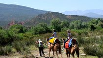 Marrakech: Majestic Atlas Mountains and 3 valleys Tour