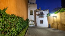 Flamenco show and night route through the Jewish quarter of Seville.
