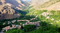 Atlas Mountains Day trip,3 Valleys & Waterfalls from Marrakech. 