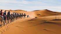 Camel Ride in Merzouga with 1 Night in Desert Camp