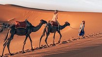 Private Camel Sunset Ride Experience in Merzouga Dunes