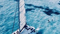 Isla Mujeres sailing tour in catamaran Open Bar& Lunch Included