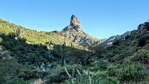 Phoenix Wilderness Hiking Tours