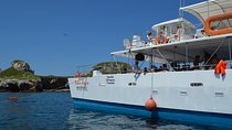 Islas Marietas - Incredible Tour Catamaran from Puerto Vallarta