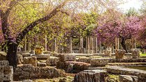 Explore ancient Olympia Full day Private tour
