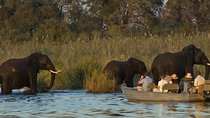 Half-Day Zambezi River Canoeing Experience with Pickup