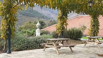  Douro Low COST with Wine Tasting 