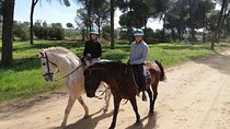 Horseback Riding in Parque Natural Doñana, Sevilla