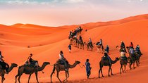 Marrakech to Merzouga 3-Days Group Desert Tour