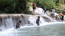Falmouth Shore Excursion: Dunns River Falls and River Tubing Tour