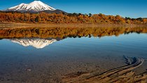 Full Day Tour to Conguillio National Park from Pucon