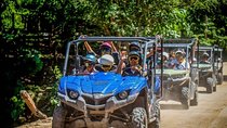 Jungle Viking/RZR Tour For 2 passangers in Eden & Coast Adventure