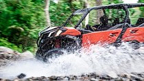 Tour Jungle Viking/RZR For 6 Passanger In Rio Cuale
