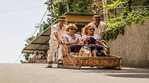 Shore Excursion: Private Madeira Tour & Wine Tasting