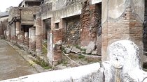 Herculanium guided tour
