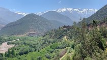 From Marrakesh: Imlil Valley & Atlas Mountains Day Tour including Lunch
