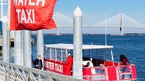 Charleston Water Taxi Cruise with Dolphin Sighting