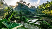 Private Romantic Tour in Ubud with Guide