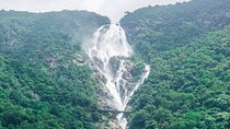 Private Dudhsagar waterfalls & Spice Plantation with Lunch from Mormugao Port