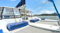 Private BYO Sydney Harbour Catamaran Cruise - 60 or 90 Minutes