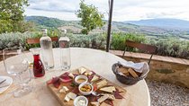 Montalcino and Pienza Tuscany Wine&Cheese Fullday from Rome