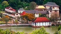 Kandy City Tour from Mount Lavinia