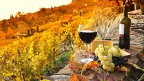 Montepulciano and Pienza Tuscany Wine&Cheese Fullday from Florence