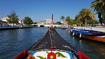 Aveiro & Costa Nova Private Full-day Tour