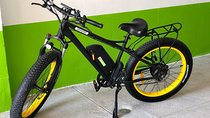 Electric Bikes Per Hour