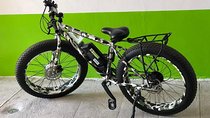 Electric Bikes Per Day