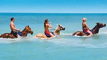 Private Transfer to Beach Horse Back Ride and Swim