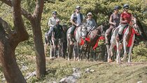 Horse riding tour (7 Days)