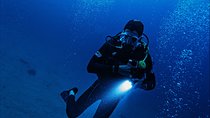 Pro Scuba Diving from Bentota